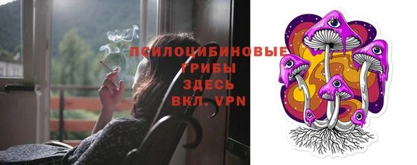 винт Богданович