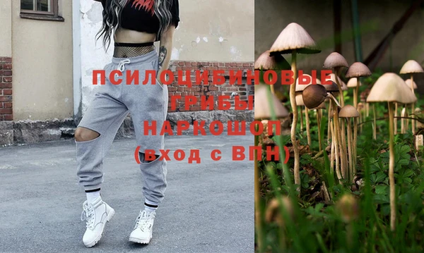 PSILOCYBIN Богородицк