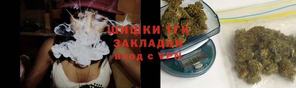 PSILOCYBIN Богородицк