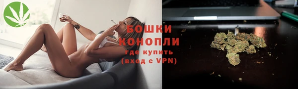 винт Богданович