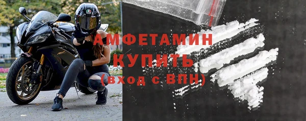 прущие грибы Россошь