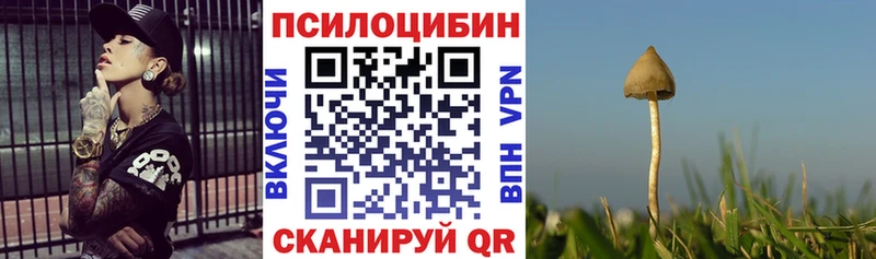 MEGA ТОР  Бобров  Галлюциногенные грибы мицелий 